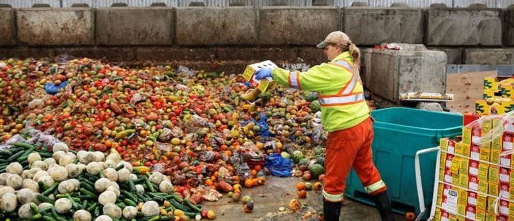 food waste mountain